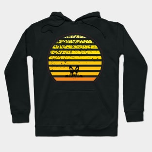 shepherd in the sunset Hoodie